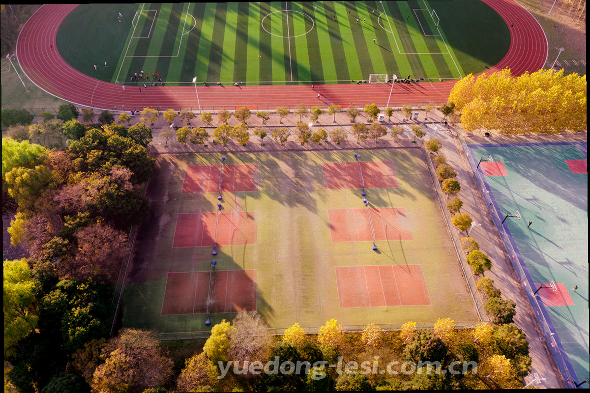 办公室内多人围绕屏幕讨论的侧逆光场景，人物以背影和局部入画